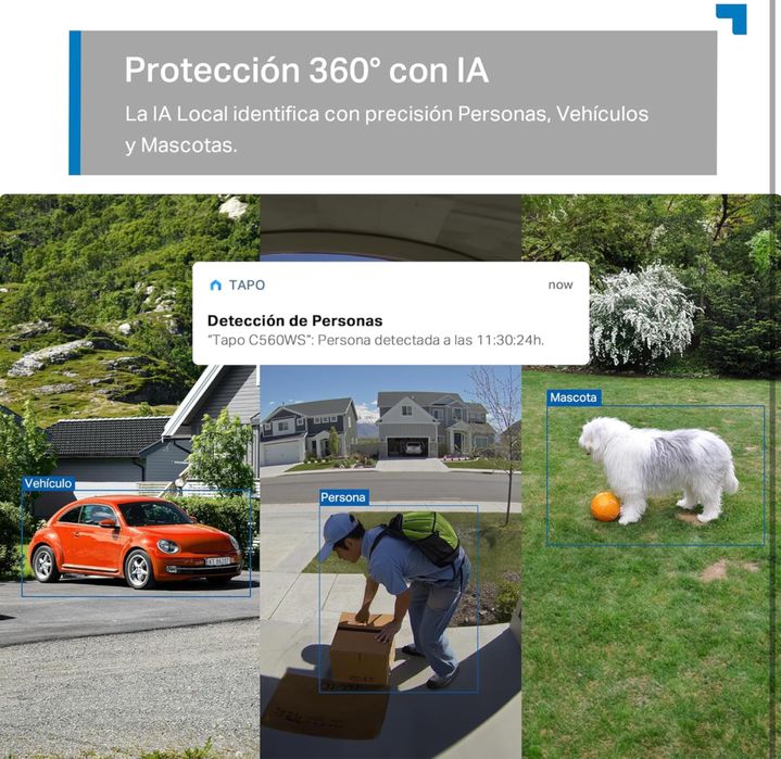 Tapo C560WS 4K 8MP 360° AI IP66 (NOVO)