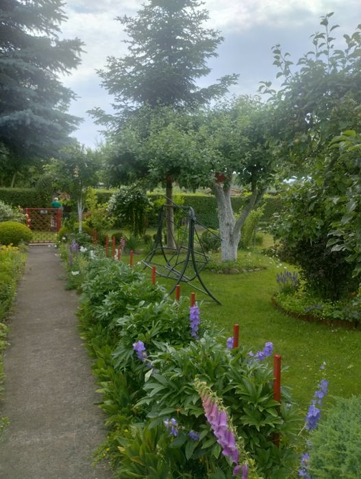 Działka rod Nad Jeziorem - Widok 5
