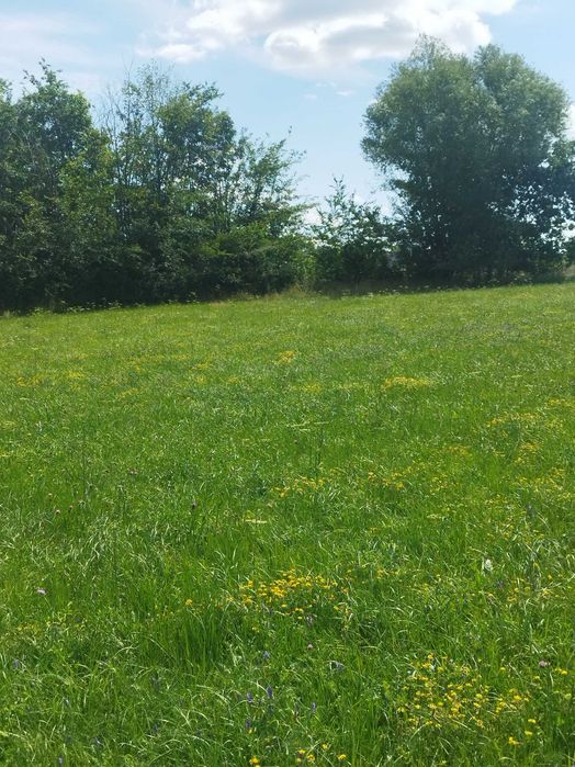 Działka na sprzedaż Sobolew - Widok 4