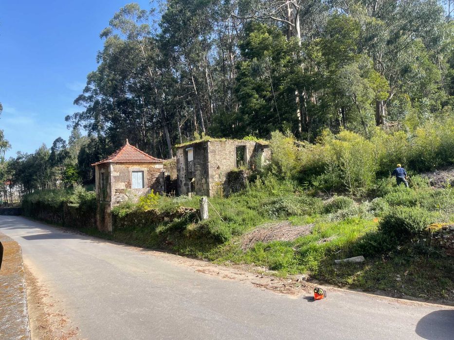 Terreno urbano (2 artigos) c/ projeto aprovado + ruína – Barcelos
