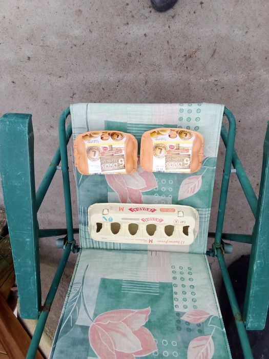 Caixas para ovos64584261462529123