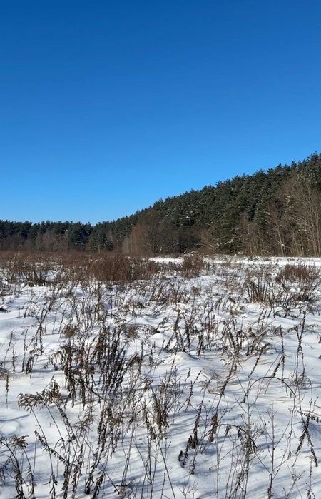 Продаж ділянки від 10 га Михайлівка-Рубежівка житлова забудова 650у.о.