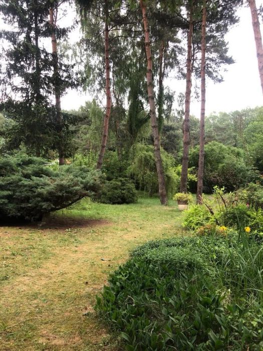 Piękna leśna działka w Skrzeszewie 1044m2