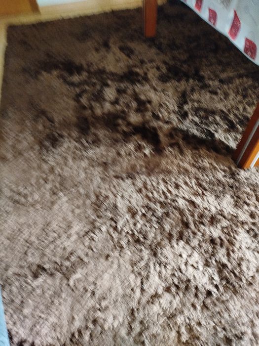 Carpetes para sala
