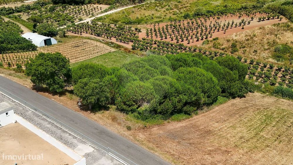 Terreno  para venda