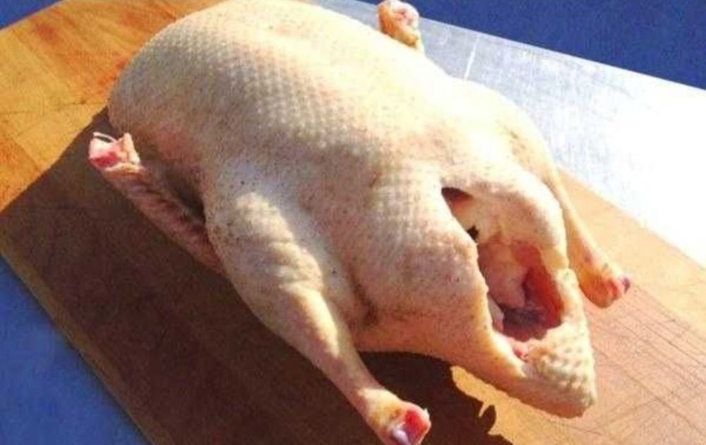 Продам тушки качок (орвія)