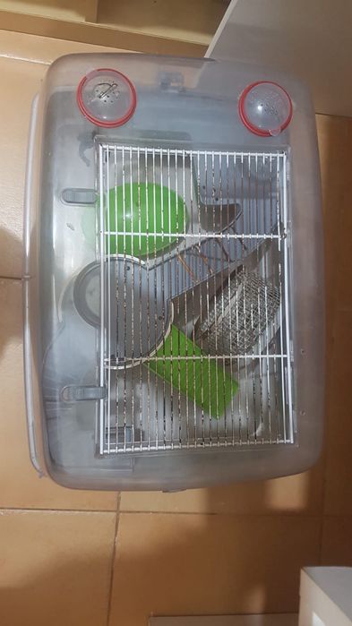 Gaiolas para hamsters