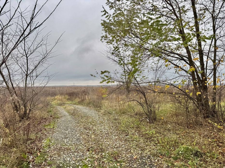 Земельна ділянка . Ситняки . 34 Га!