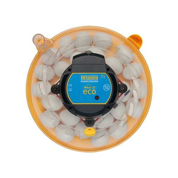 Incubadora Brinsea MAXI ECO - Chocadeira Manual