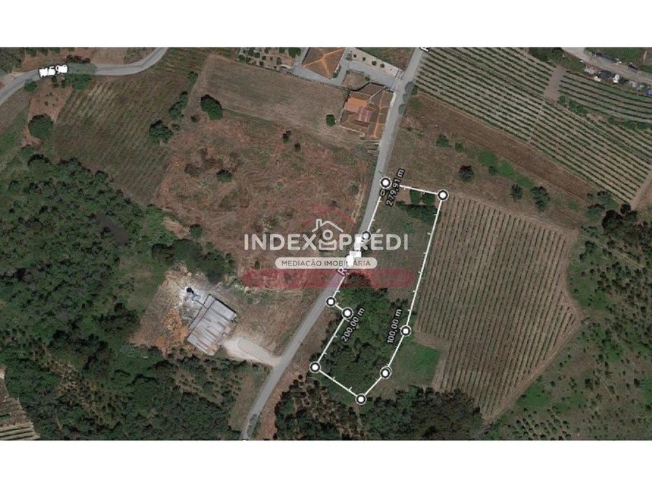 Terreno Venda Cantanhede