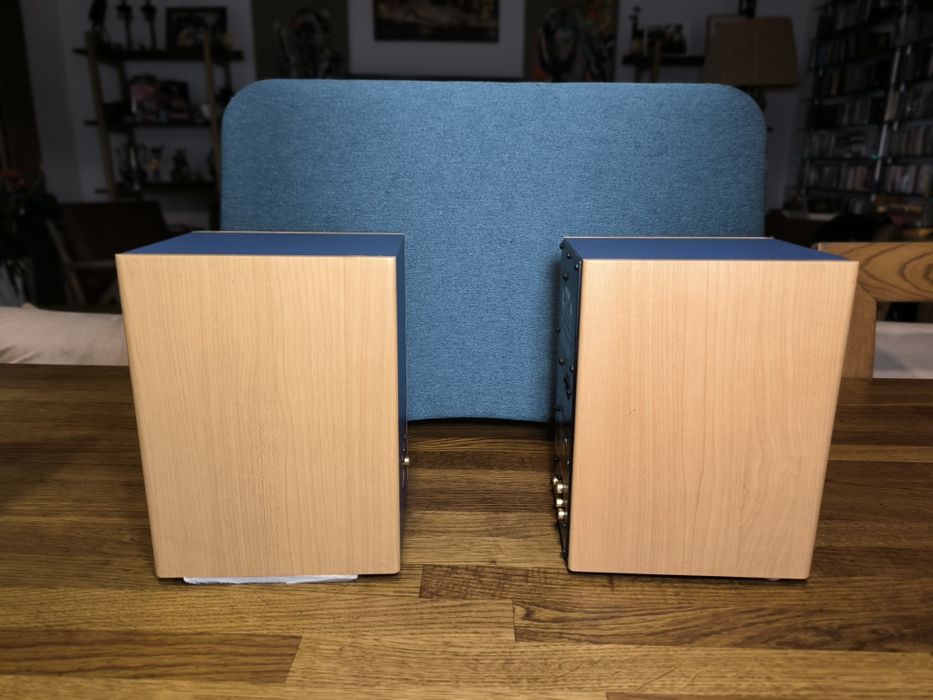 Coluna Ativas Edirol MA 10D