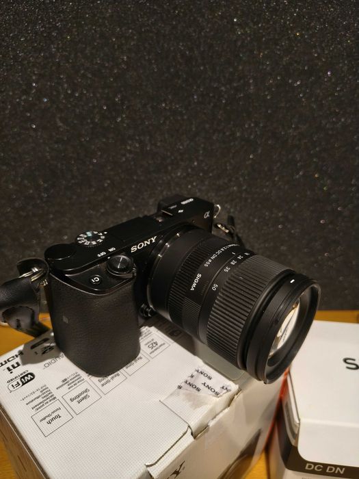 Sony a6100 + sigma 18-50mm f/2.8