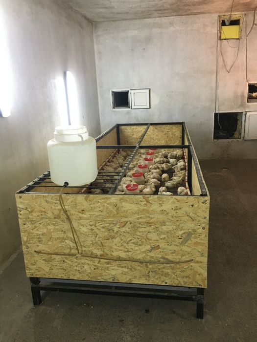 Продається багатофункціональне фермерське приміщення