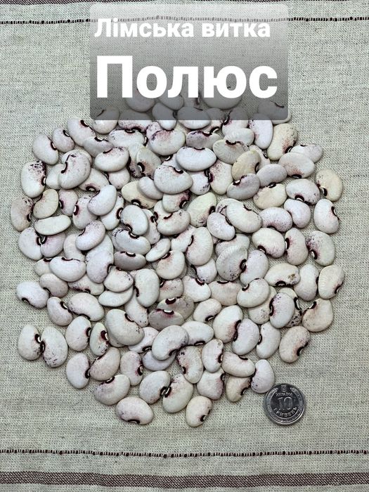 Квасоля Лімська насіння