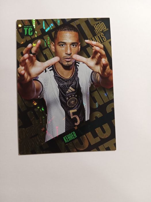 8 Kart Panini Top Class