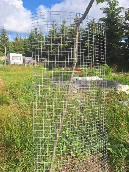 siatka woliera klatka