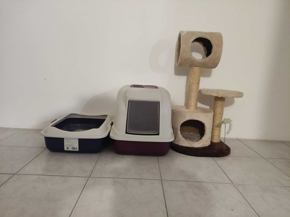 Arranhador, caixa de areia e caixa para gatos