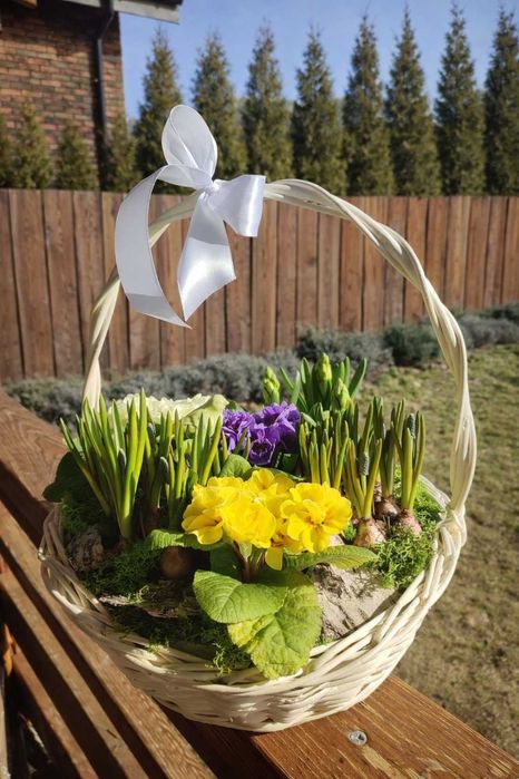 Квіти до 8 березня, букети,кошики