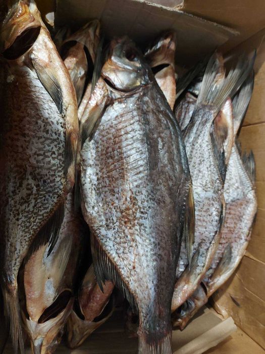 Лящ в'ялений, ікряний 100%, 400-600 гр/шт. Ціна вказана за 1 кг.