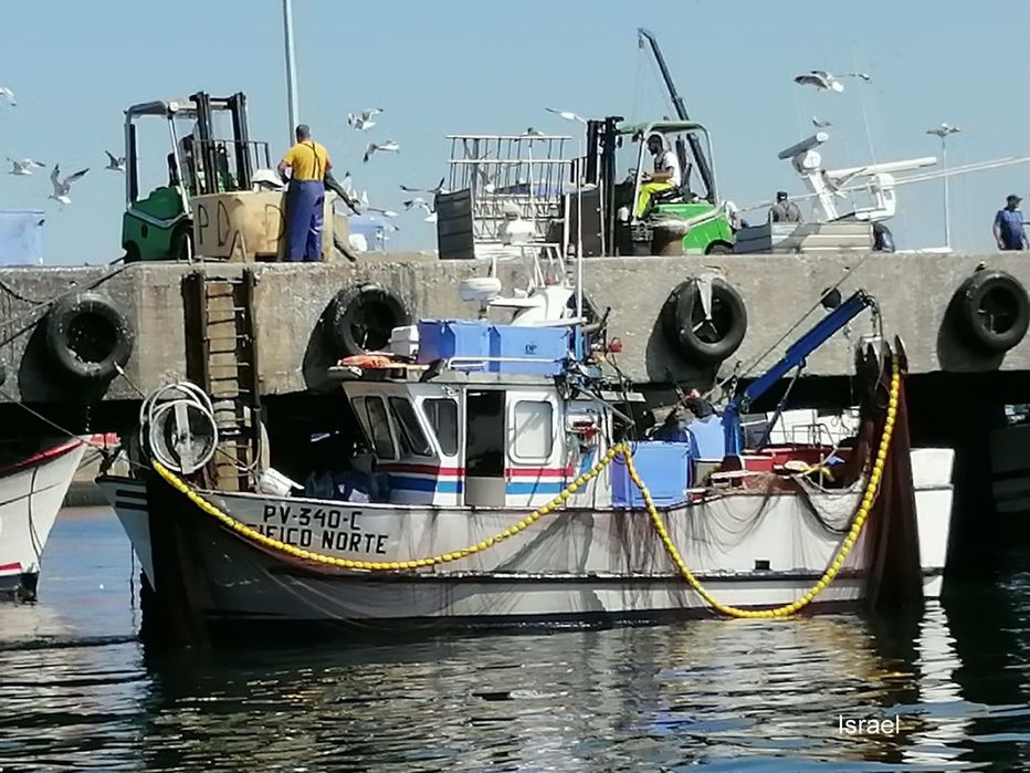 Barco de pesca profissional