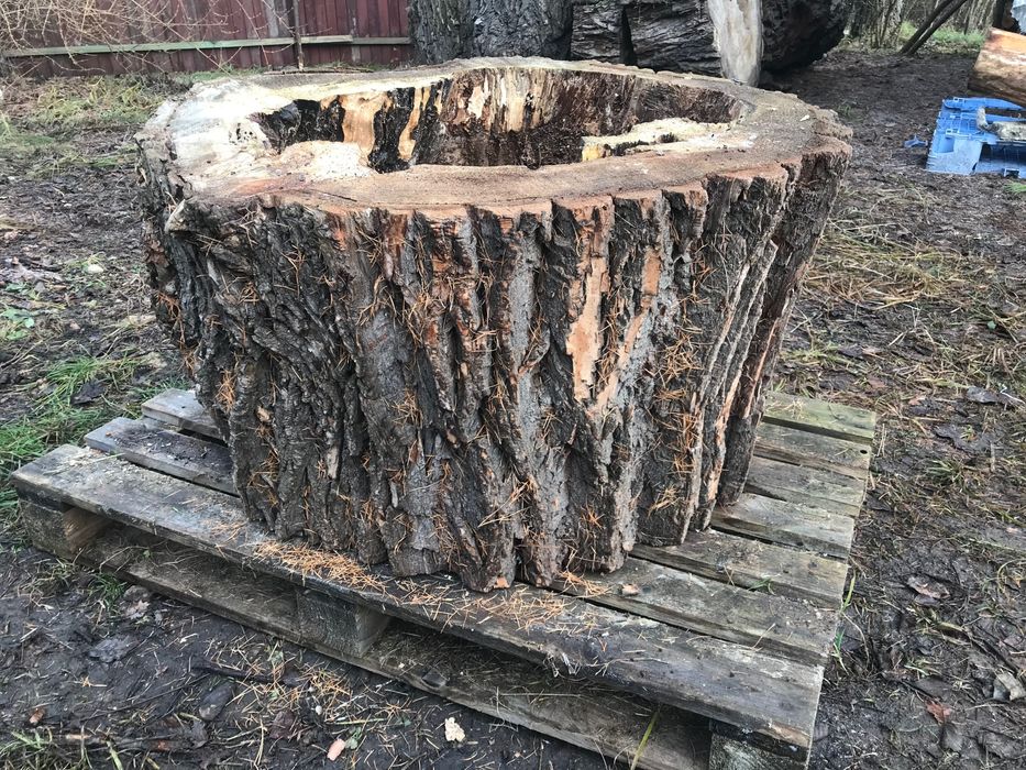 Donica z kłody drewna Doniczka Kwietnik Klomb dekoracja