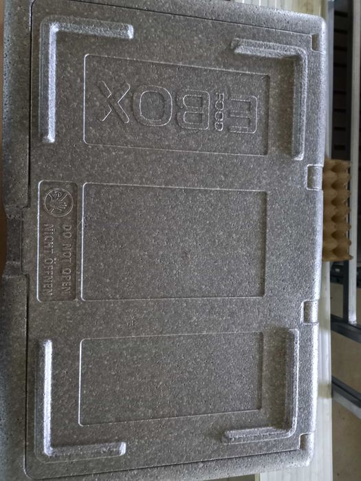Caixa térmica de frio negativo E BOX 60 litros NOVA