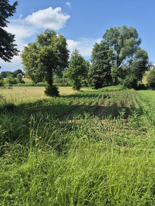 Działka budowlana