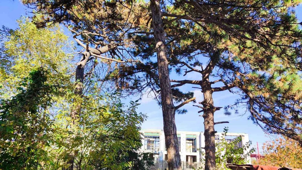 Будинок за адресою Небесної сотні пр. (площа 102 м²) - Atlanta.ua - фото 11