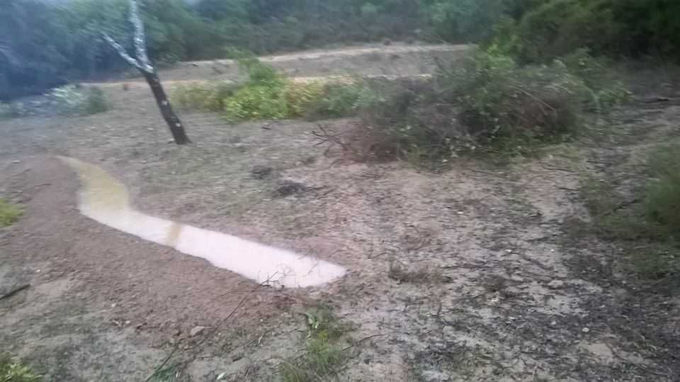 Limpeza de terrenos/podas/gestão de águas pluviais, muros