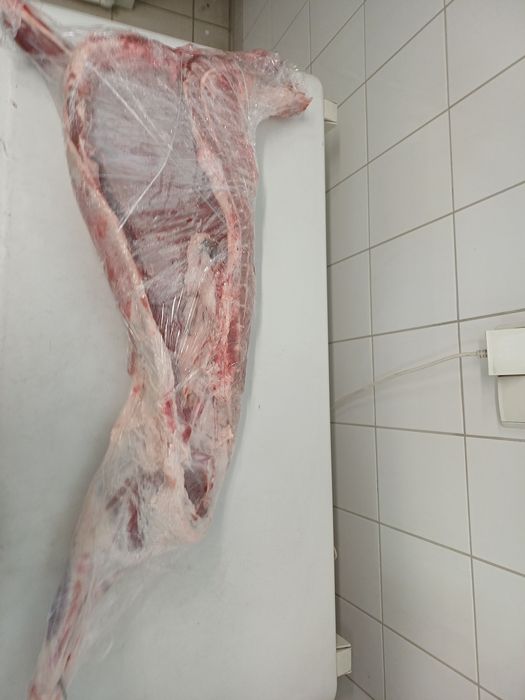 Baranina półtusze chłodzone