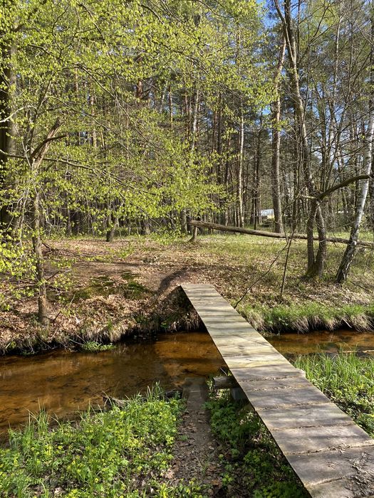 Agroturystyka "Siedlisko" Wola Mała - Biłgoraj - Zwierzyniec/Roztocze