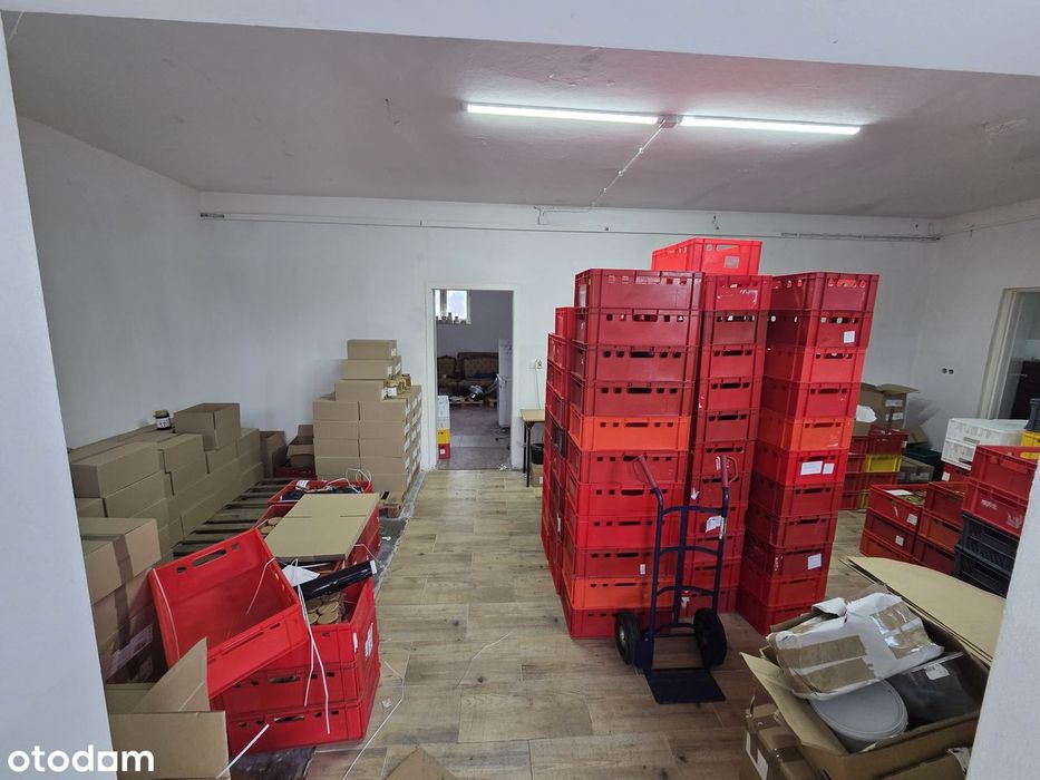 Działka 1440 m² przy asfaltowej drodze | 500 m od jeziora | Pawilon - Widok 5
