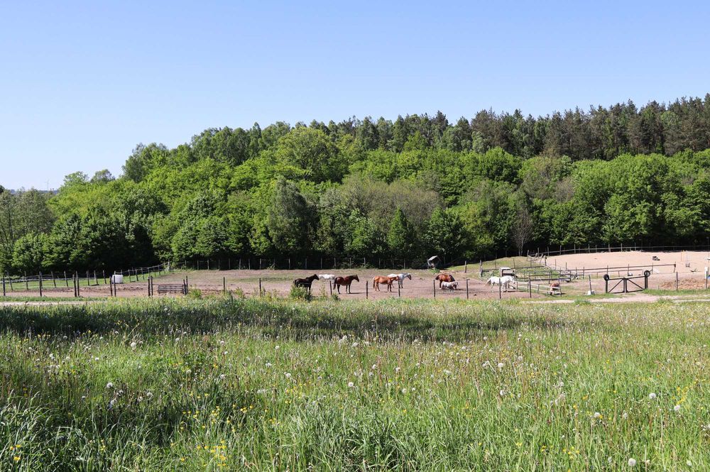Całoroczny domek na Kaszubach nad morzem stawem ognisko las WOLNE