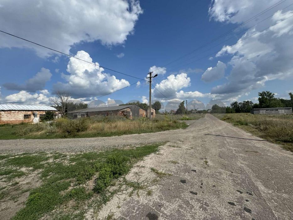 Продаж ділянки ОСГ 1,68 га селище Загальці Бучанського району