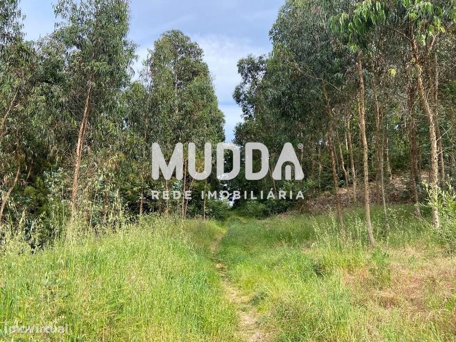 Terreno com 2.900 m2, rústico, com possibilidade de construção, em Cré