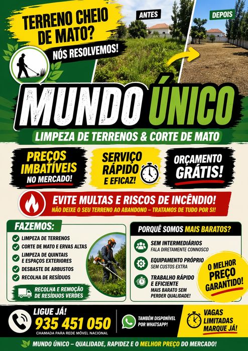 Serviços de limpeza de terrenos