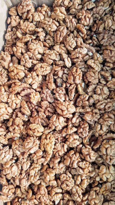 Продам битые грецкие орехи