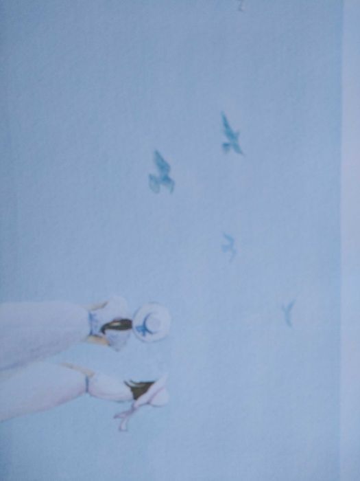 Reprodução de Aguarela em Papel