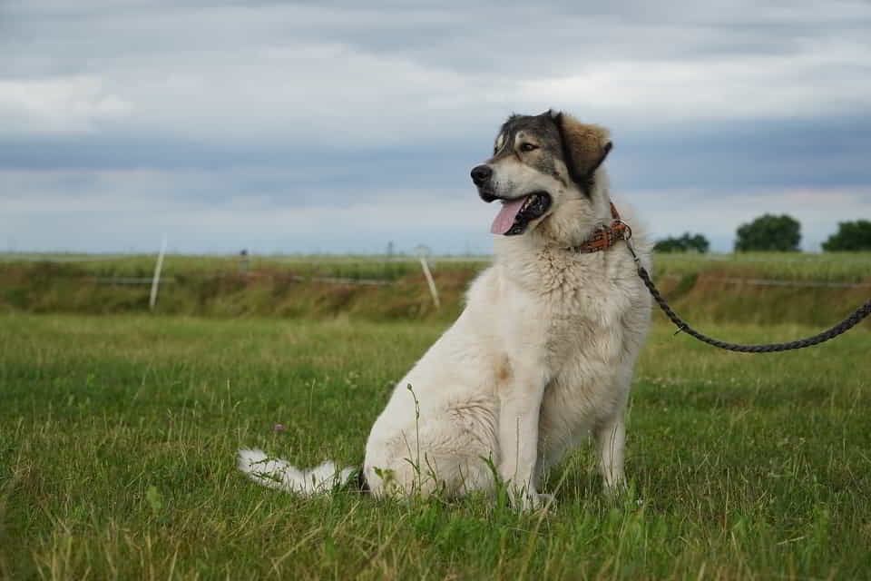 7 lat czekania wystarczy. Corina marzy o własnym domu