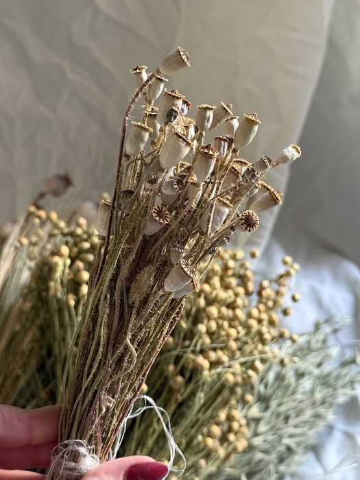 Сухоцвіти льон пшениця