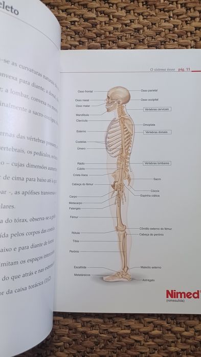 Doenças do aparelho locomotor - Volume 1