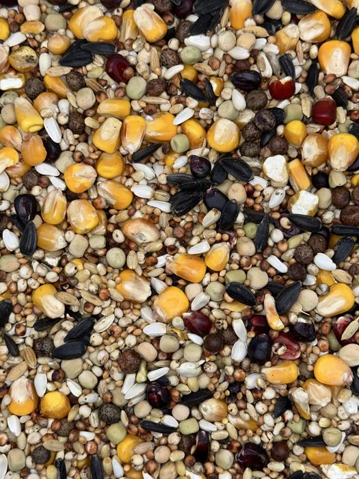 KARMA DLA GOŁĘBI RL rozpłodowa lotowa FLORCZYK 25kg