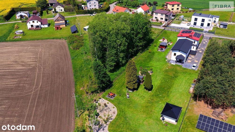 Tu możesz mieć dom… i własny kawałek lasu - Widok 6