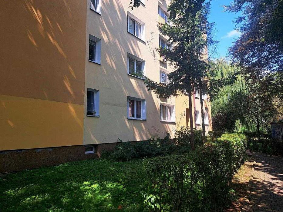 Mieszkanie na wynajem – ul. Dębowa