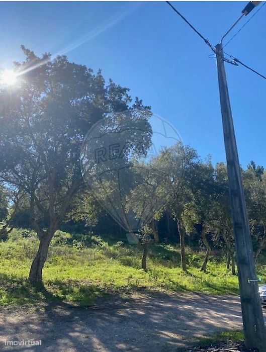Terreno  para venda