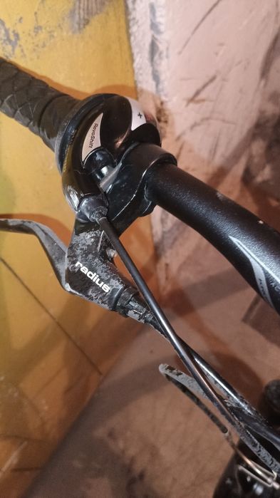 Rower Kross model KR Evado