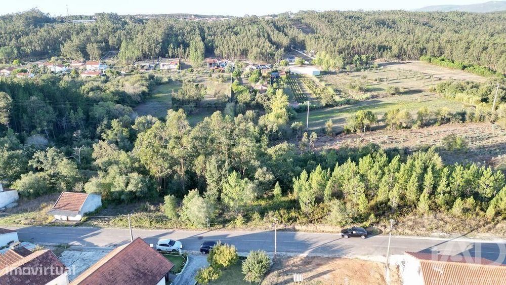 Terreno para construção em Pelariga