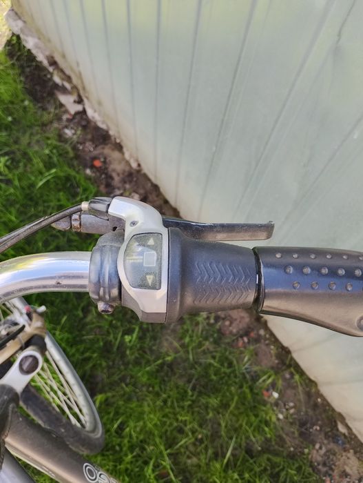 Rower Holenderski Montego