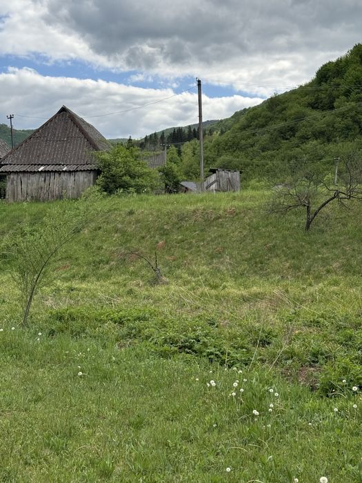 43 сотки землі в Карпатах, с. Запереділля — гори та природа