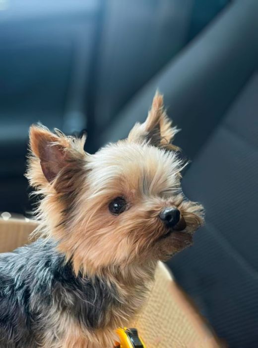 Шукаю наречену!!!